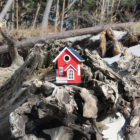 Apartment Pinschieter Born